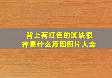 背上有红色的斑块很痒是什么原因图片大全