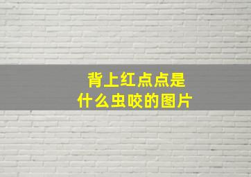 背上红点点是什么虫咬的图片