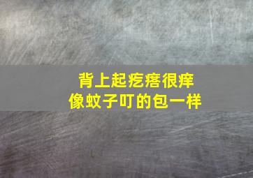 背上起疙瘩很痒像蚊子叮的包一样