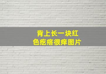 背上长一块红色疙瘩很痒图片