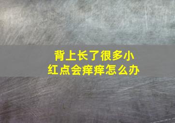 背上长了很多小红点会痒痒怎么办