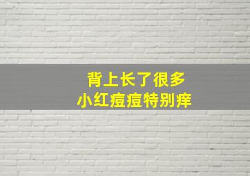 背上长了很多小红痘痘特别痒