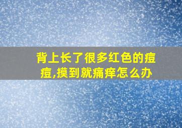 背上长了很多红色的痘痘,摸到就痛痒怎么办