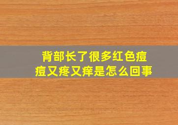 背部长了很多红色痘痘又疼又痒是怎么回事