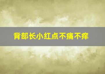 背部长小红点不痛不痒