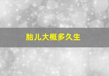 胎儿大概多久生