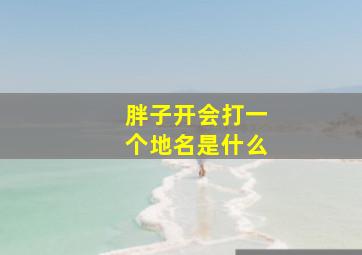 胖子开会打一个地名是什么