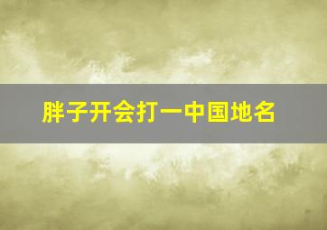 胖子开会打一中国地名