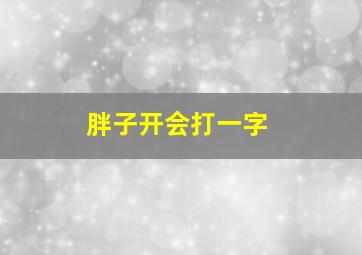 胖子开会打一字