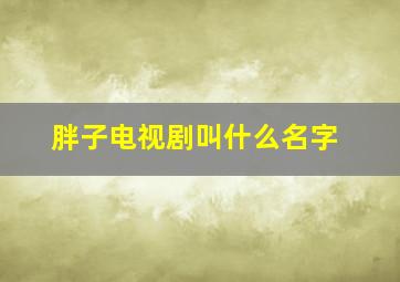 胖子电视剧叫什么名字