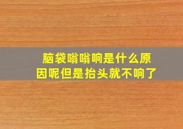 脑袋嗡嗡响是什么原因呢但是抬头就不响了