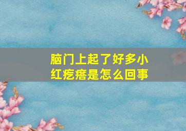 脑门上起了好多小红疙瘩是怎么回事