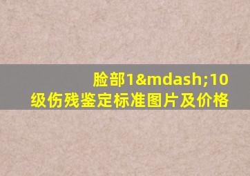 脸部1—10级伤残鉴定标准图片及价格