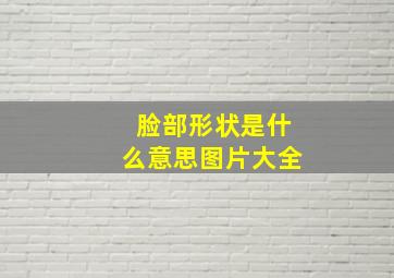 脸部形状是什么意思图片大全