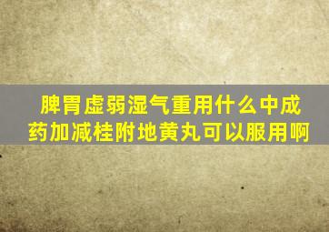 脾胃虚弱湿气重用什么中成药加减桂附地黄丸可以服用啊