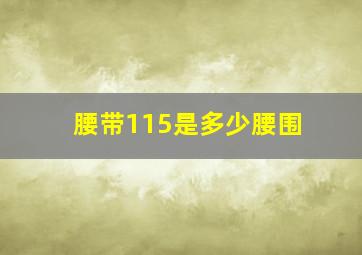 腰带115是多少腰围