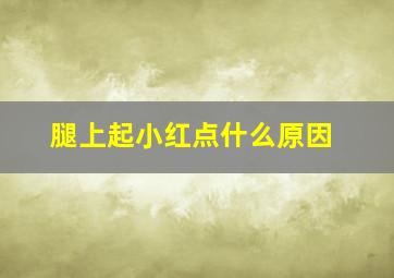 腿上起小红点什么原因