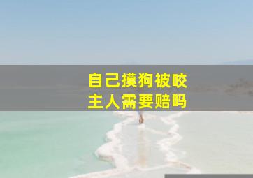 自己摸狗被咬主人需要赔吗