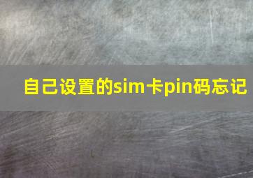 自己设置的sim卡pin码忘记