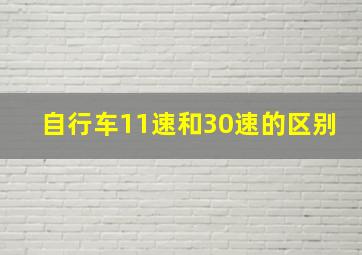 自行车11速和30速的区别