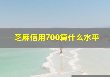 芝麻信用700算什么水平