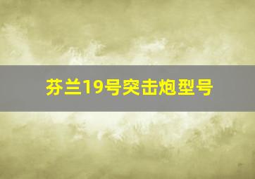 芬兰19号突击炮型号