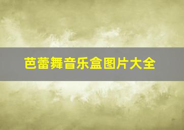 芭蕾舞音乐盒图片大全