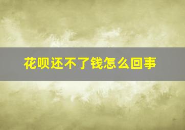 花呗还不了钱怎么回事