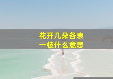 花开几朵各表一枝什么意思