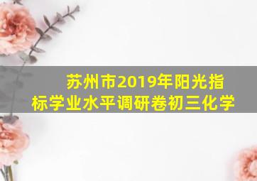 苏州市2019年阳光指标学业水平调研卷初三化学