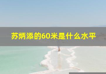 苏炳添的60米是什么水平