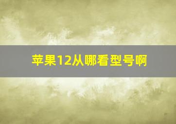 苹果12从哪看型号啊