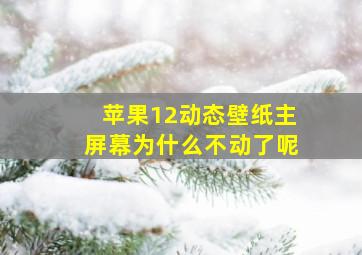 苹果12动态壁纸主屏幕为什么不动了呢