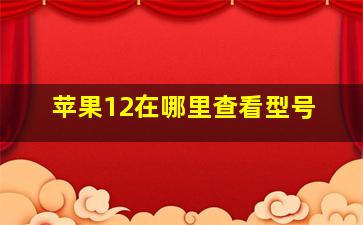 苹果12在哪里查看型号