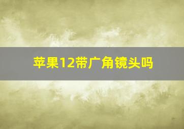 苹果12带广角镜头吗