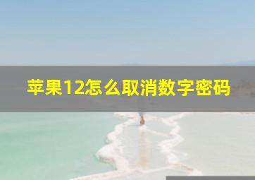 苹果12怎么取消数字密码