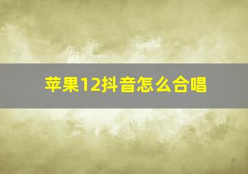 苹果12抖音怎么合唱