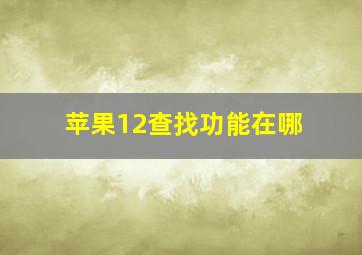 苹果12查找功能在哪