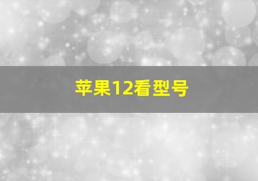 苹果12看型号