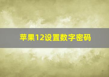 苹果12设置数字密码