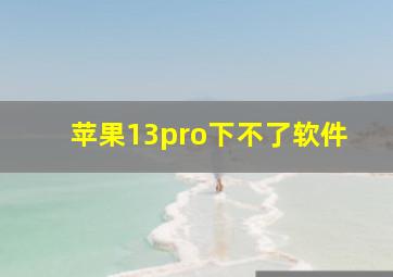 苹果13pro下不了软件