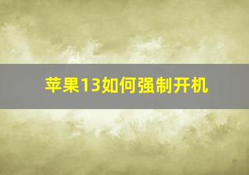 苹果13如何强制开机