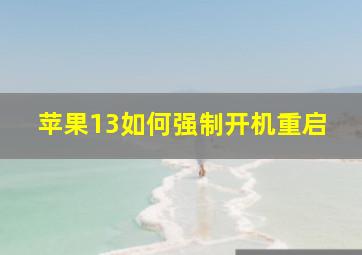 苹果13如何强制开机重启