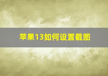 苹果13如何设置截图