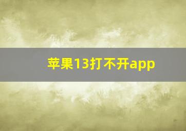 苹果13打不开app