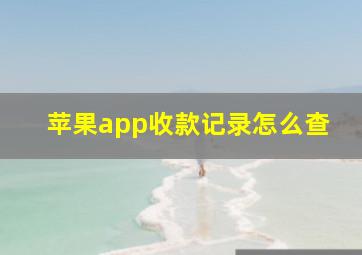 苹果app收款记录怎么查