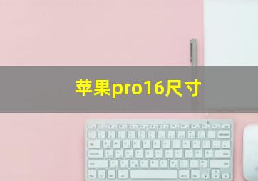 苹果pro16尺寸