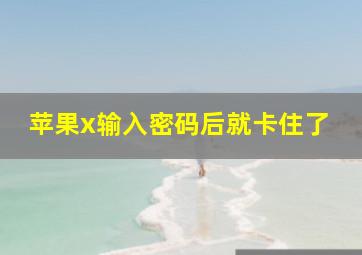 苹果x输入密码后就卡住了