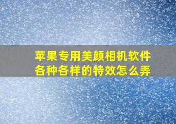 苹果专用美颜相机软件各种各样的特效怎么弄