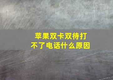 苹果双卡双待打不了电话什么原因